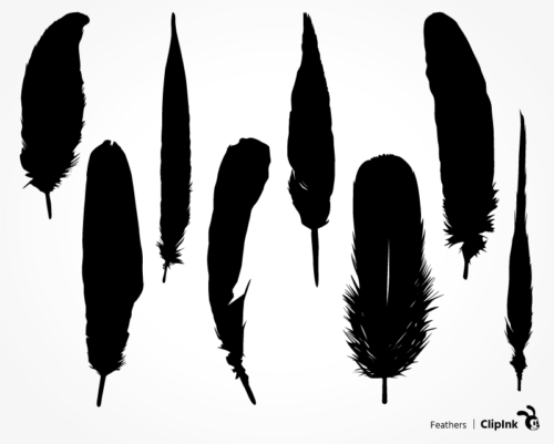 feather svg