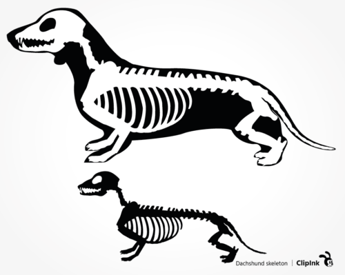 dachshund skeleton svg